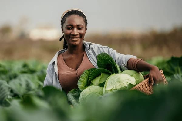 Agriculture Durable